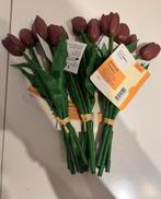 Tulpen x 15, Huis en Inrichting, Ophalen of Verzenden, Nieuw, Binnen