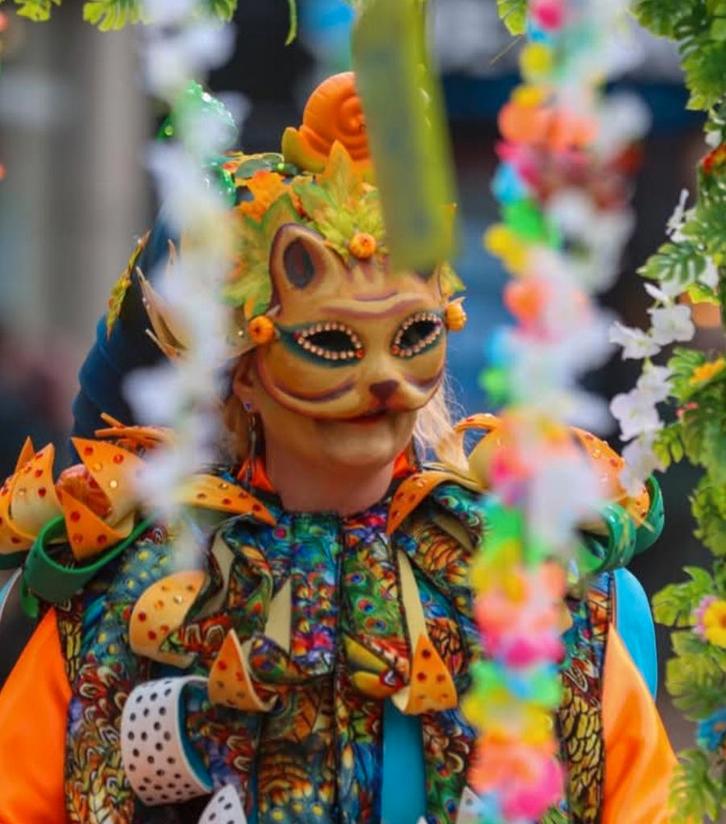Carnavalsoutfit Duo - Kleurrijk & Compleet, Kleding | Dames, Carnavalskleding en Feestkleding, Zo goed als nieuw, Carnaval, Ophalen