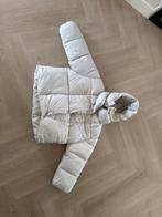 Leuke Puffer Winterjas NIEUW, Nieuw, Ophalen of Verzenden, Onbekend, Maat 36 (S)