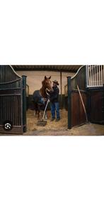 Stal hulp aangeboden, Ophalen, Nieuw, Overige soorten