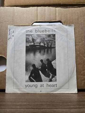 The Bluebells - Young at heart beschikbaar voor biedingen
