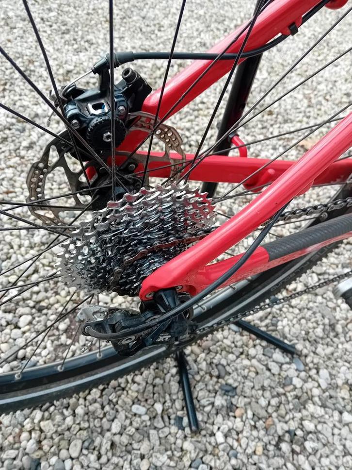Bulls Strandracer Carbon Gravel Bike, Fietsen en Brommers, Fietsen | Mountainbikes en ATB, Gebruikt, Heren, Overige merken, 45 tot 49 cm