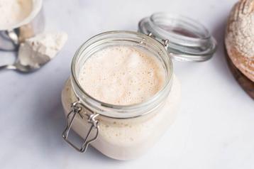 Zuurdesemstarter zuurdesem 75 gram BIO- verzending mogelijk  beschikbaar voor biedingen