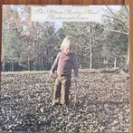 LP - The Allman Brothers Band - Brothers and Sisters, Gebruikt, Ophalen of Verzenden