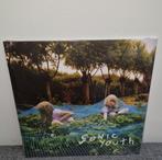 Sonic Youth - Murray Street LP, Cd's en Dvd's, Vinyl | Rock, Ophalen of Verzenden, Nieuw in verpakking, Poprock
