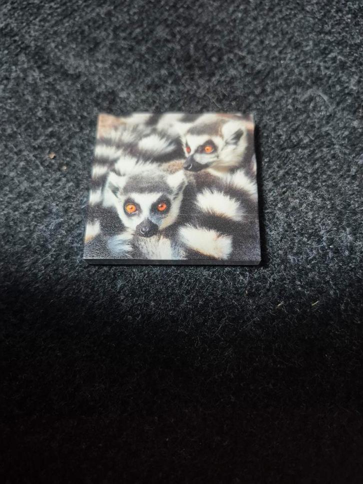 Ringstaartmaki magneet, Verzamelen, Dierenverzamelingen, Zo goed als nieuw, Beeldje of Figuurtje, Ophalen of Verzenden