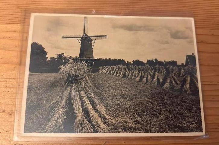 Ansichtkaart Bathmen molen, Verzamelen, Ansichtkaarten | Nederland, Overijssel, Ophalen of Verzenden