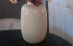 Artic vaas kleur ivory, Huis en Inrichting, Woonaccessoires | Vazen, Ophalen, Zo goed als nieuw, Glas, Minder dan 50 cm