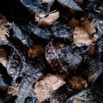 Oude brocante textiel lint flosjes, ongeveer 26 meter, Verzenden