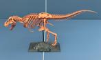 T-Rex Dino in koper 60cm lang (3D Print), Ophalen of Verzenden, Nieuw, Overige typen