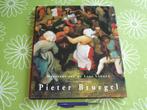 Pieter Bruegel - Meesters van de Lage Landen, Ophalen of Verzenden, Zo goed als nieuw, Schilder- en Tekenkunst