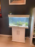 Juwel rio125, Dieren en Toebehoren, Vissen | Aquaria en Toebehoren, Ophalen of Verzenden, Verlichting of Verwarming