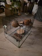 Knaagdierenverblijf, Ophalen, Minder dan 75 cm, Kooi, Minder dan 60 cm