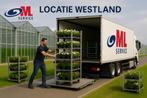 Chauffeur C/CE – Bloemen & Planten (Dag/Nacht), Overige uren, Overige niveaus, Starter, Overige vormen