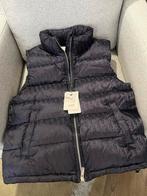 Nieuwe Christian Dior Bodywarmer - Maat M, Kleding | Heren, Bodywarmers, Ophalen, Nieuw, Maat 48/50 (M), Zwart