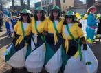 Loopgroep/carnavalsoutfit, Ophalen of Verzenden, Zo goed als nieuw, Carnaval