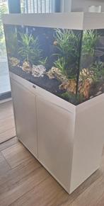 Compleet aquarium 120 liter met onderkast, Dieren en Toebehoren, Ophalen, Zo goed als nieuw, Gevuld zoetwateraquarium