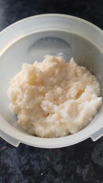 Melk kefir cultuur  beschikbaar voor biedingen