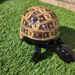 Schildpad lv, Ophalen of Verzenden, Zo goed als nieuw, Dier