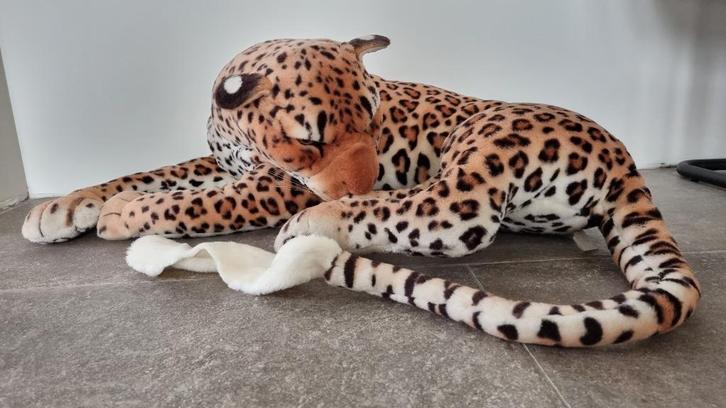Jungle kamer accessoires en dekbedovertrekken, Huis en Inrichting, Slaapkamer | Complete slaapkamers, Zo goed als nieuw, Eenpersoons