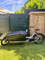 Urban Arrow Anniversary Edition met vernieuwde motor(1400km), Fietsen en Brommers, Fietsen | Bakfietsen, Ophalen, Zo goed als nieuw