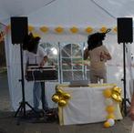 Geluidsinstallatie, Muziek en Instrumenten, Dj-sets en Draaitafels, Ophalen, Zo goed als nieuw, Overige merken