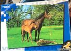 Puzzel 1000 stukjes; Paard en veulen. Wild Horse puzzel, Ophalen of Verzenden, 500 t/m 1500 stukjes, Gebruikt, Legpuzzel