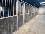 Paarden boxen, Ophalen