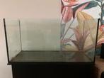 Waterschildpad aquarium van 100x50x50cm, Ophalen of Verzenden, Zo goed als nieuw