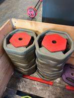 10 x 10 kg reebok 30 mm halter schijven  gewichten, Ophalen, Gebruikt, Schijven, Reebok