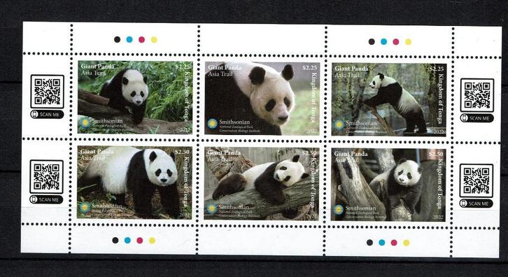 tonga 2022 pf blok panda's beren zoogdieren wildlife, Postzegels en Munten, Postzegels | Thematische zegels, Postfris, Dier of Natuur