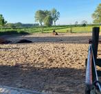 Op onze stalling komt plek vrij voor 2 paardjes ., Stalling