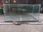 Glazen terrarium/hok 80 x 40 x 40 cm hamster/gerbil, etc., Ophalen, Hok, Minder dan 60 cm