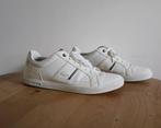 Schoenen lacoste heren maat 43 ( zo goed als nieuw), Ophalen of Verzenden, Zo goed als nieuw, Veterschoenen, Wit