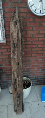 Drijfhout driftwood ca 160 cm lang, Ophalen, Gebruikt