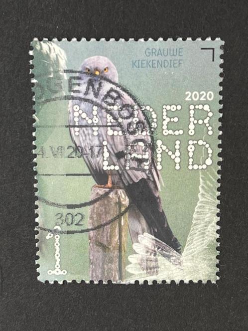 2854 Nederland 2020 NVPH 3816 - Grauwe kiekendief - gestem, Postzegels en Munten, Postzegels | Nederland, Gestempeld, Na 1940