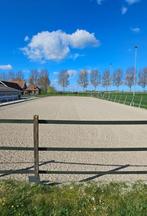 Stalling beschikbaar te Nieuwveen, Weidegang, 4 paarden of pony's of meer