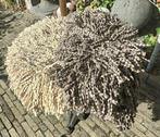 AQUANOVA badmat 60 x 60 cm 1xgrijs 1x beige €15,= p/st (TT1), Huis en Inrichting, Ophalen of Verzenden, Gebruikt, Badmat