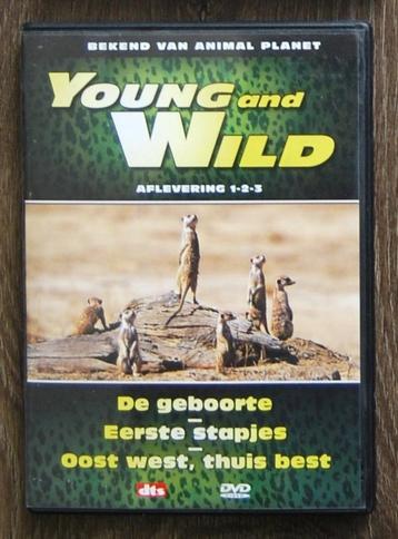 Young and Wild, docu op dvd. beschikbaar voor biedingen