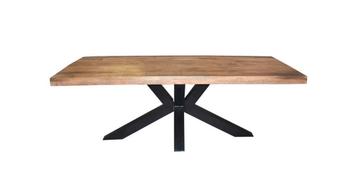 EETTAFEL MANGOHOUT RECHTHOEK MET SPINPOOT beschikbaar voor biedingen