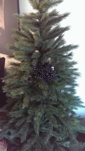 Kerstboom  beschikbaar voor biedingen