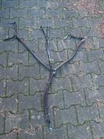 Qhp borsttuig, Dieren en Toebehoren, Ophalen of Verzenden, Zo goed als nieuw, Springen