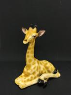 Giraffe liggend beeld originele kleuren., Ophalen