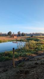 Pensionstalling vrij, paddock paradise of wei, volpension, Dieren en Toebehoren, Stalling en Weidegang, Weidegang