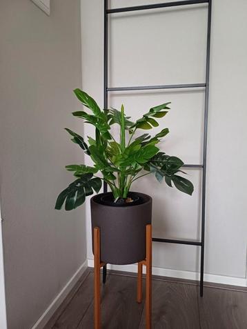 Nieuwe Kunstplant Monstera - H45 - Nu €25! beschikbaar voor biedingen