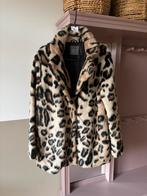 Panter jassen maat L, Kleding | Dames, Jassen | Winter, Ophalen of Verzenden, Zo goed als nieuw, Maat 38/40 (M), Zwart