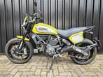 Ducati Scrambler Flattrack Pro, Bedrijf, Meer dan 35 kW, Toermotor, 803 cc