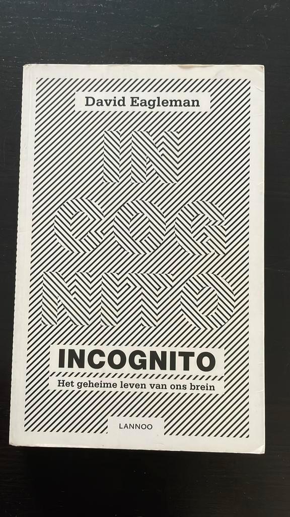 David Eagleman - Incognito, Boeken, Psychologie, Zo goed als nieuw, Ophalen of Verzenden
