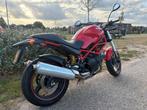 Ducati Monster 695, Motoren, Motoren | Ducati, 2 cilinders, Particulier, Meer dan 35 kW, 695 cc