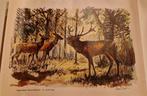 Originele zerografie van de Zweedse kunstenaar Oscar Wendel, Antiek en Kunst, Kunst | Litho's en Zeefdrukken, Ophalen of Verzenden
